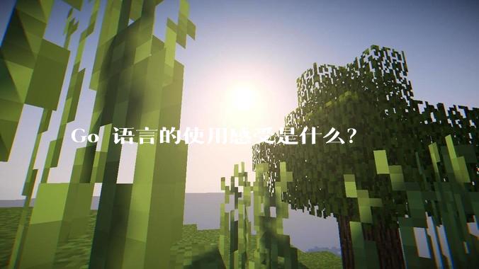 Go 语言的使用感受是什么？
