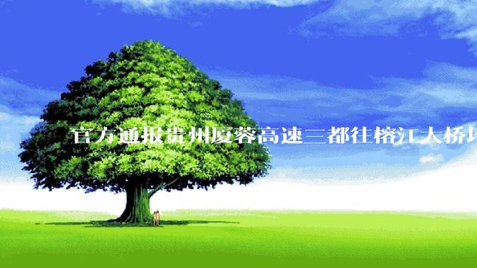 官方通报贵州厦蓉高速三都往榕江大桥垮塌，因持续强降雨诱发山体滑坡导致，目前情况如何？