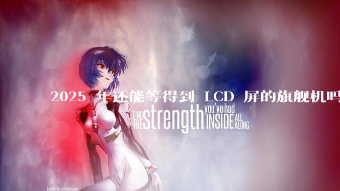 2025 年还能等得到 LCD 屏的旗舰机吗？