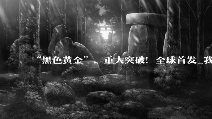 “黑色黄金”，重大突破！全球首发_我国_头发丝_领域