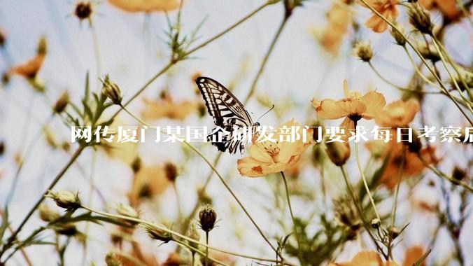 网传厦门某国企研发部门要求每日考察后端 400 行，前端 1000 行代码量，如属实，这个考核合理吗？