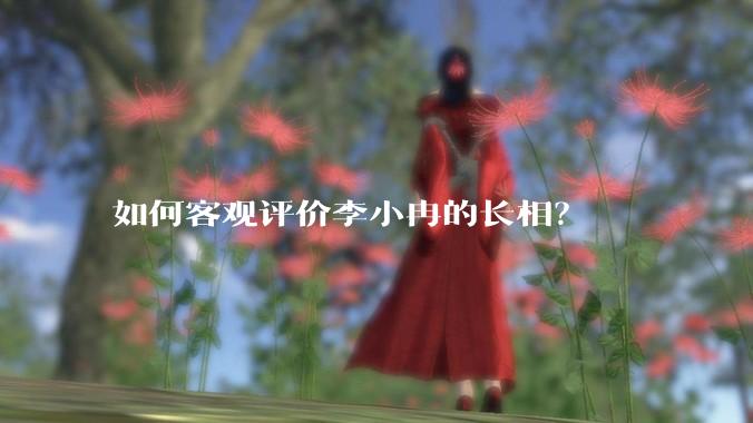 如何客观评价李小冉的长相？