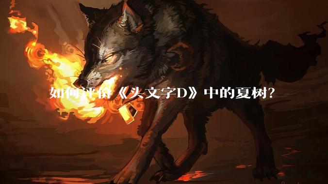 如何评价《头文字D》中的夏树？