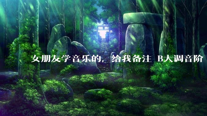 女朋友学音乐的，给我备注 B大调音阶 是什么含义呢？
